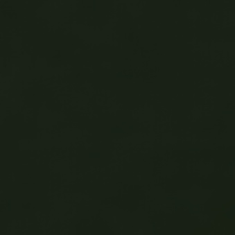 Folia Flex puchnąca