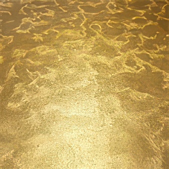 Self-adhesive foil, Florentine leaf