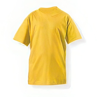 T-shirt Standard for printing