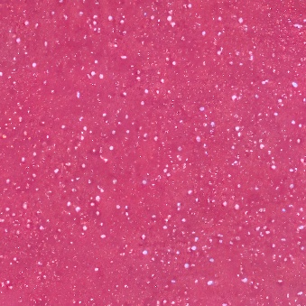 Glitter HeatFlex film