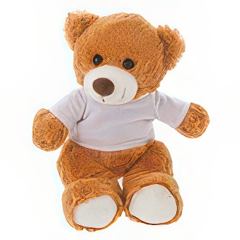 Brown Teddy Bear with a white T-shirt for printing