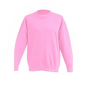 Kid&rsquo;s sweatshirt for printing