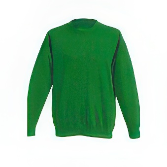 Kid&rsquo;s sweatshirt for printing