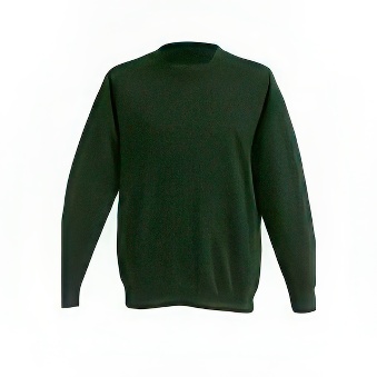 Kid&rsquo;s sweatshirt for printing