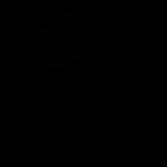 HeatFlex Fast film pantone Black 6U