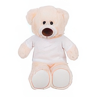 Teddy Bear Creamy with T-shirt suitable for printing
