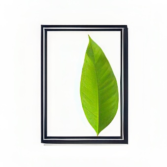 Snap frame with sharp corners