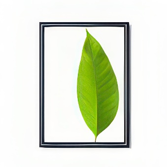 Snap frame with sharp corners