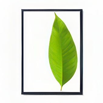 Snap frame with sharp corners