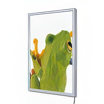 LED Economy Snap frame
