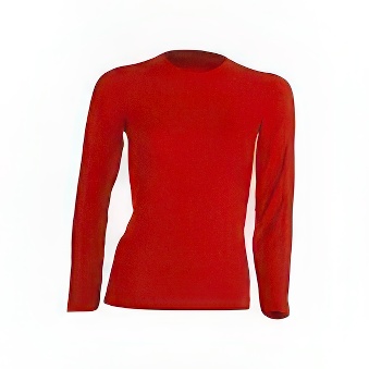 Women&rsquo;s Longsleeve T-shirt for printing