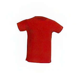 Kids&rsquo; Premium T-Shirt
