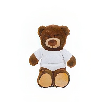 Dark-brown Teddy Bear with T-shirt Suitable for Printing