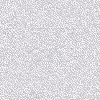 Self-adhesive film for cutting plotter silver frost effect (090) (Oracal - 8810)