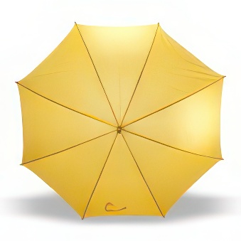 Umbrella with wooden handle for sublimation