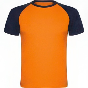 T-shirt with colour sleeves
