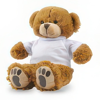 Brown Teddy Bear with a white T-shirt for Printing