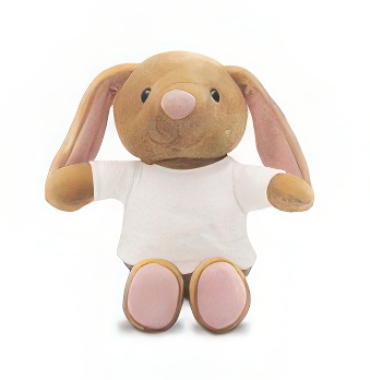 Teddy rabbit with a white T-shirt for printing
