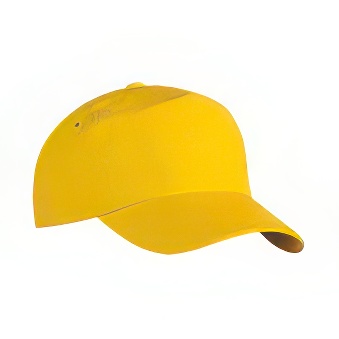 Peaked cap 5-panels plastic snap closure