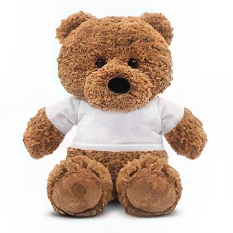 Brown Teddy with a white T-shirt for printing