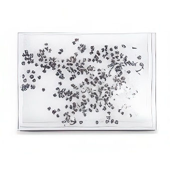 Liquid photo frame - silver snowflakes