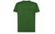 Bottle Green