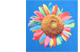 Flex and Flock Vinyls for Sublimation