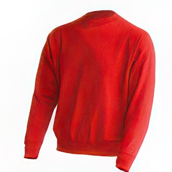 Men&rsquo;s sweatshirt for printing