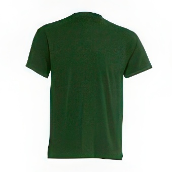 T-shirt Standard for printing